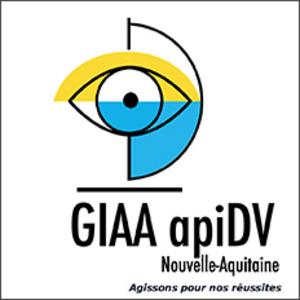 GIAA apiDV Nouvelle-Aquitaine