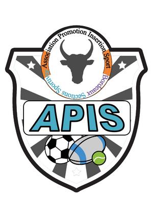 Association Promotion Insertion Sport - APIS